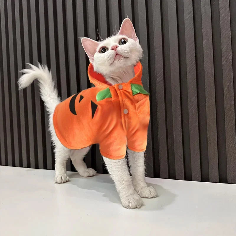 Pet Clothing, Pumpkin, Funny Clothing, Cute Halloween Clothing, Dog Clothing
