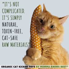 Catnip Toys