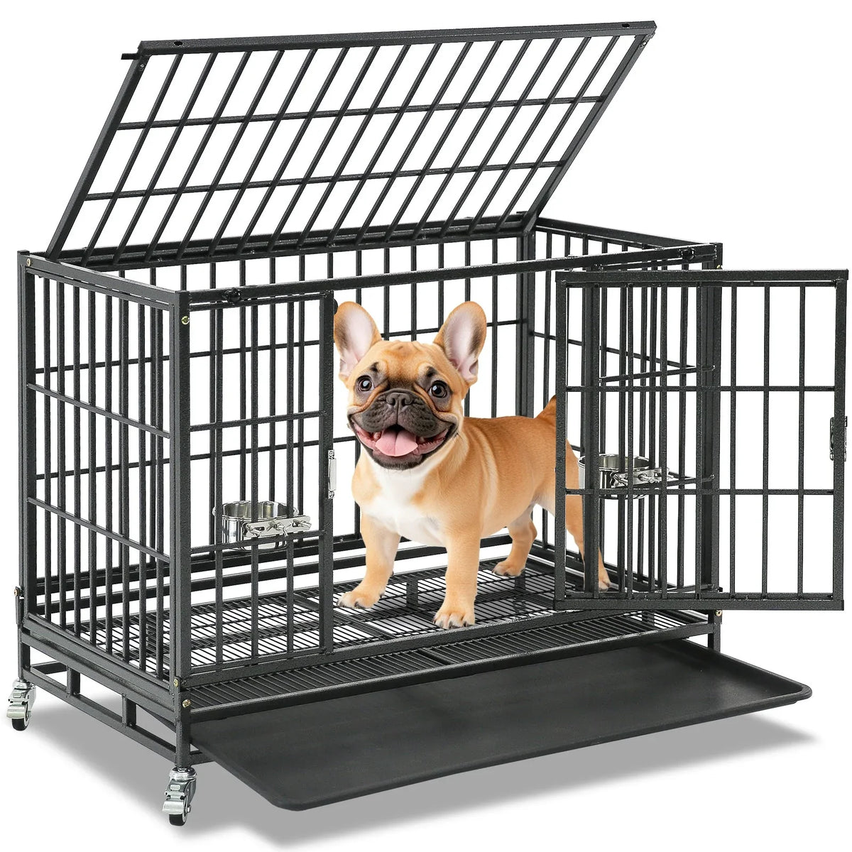 Dog Crates