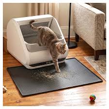 Litter Boxes