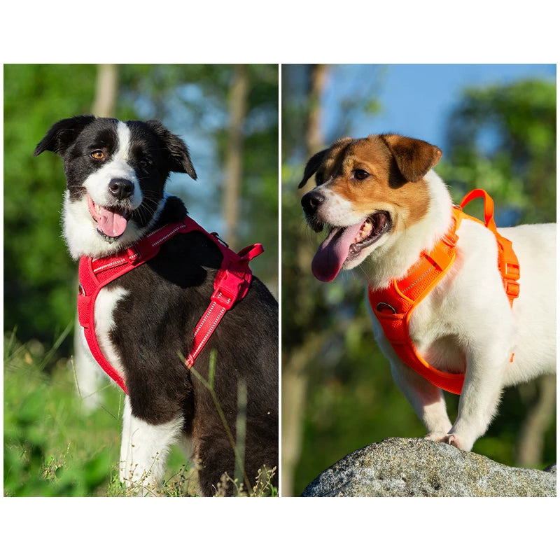TRUELOVE Pet Harness Nylon Reflective Comfortable and Breathable Explosion-proof Small Medium Large Outdoor Camping HP5652