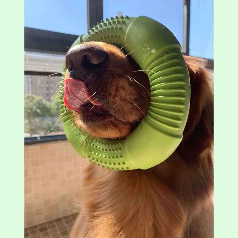 CAITEC Dog Toys Foam Ring Toy Soft Bite Ring Light Durable Floatable Bite Resistant Interactive Toy 3 Size for Choosing