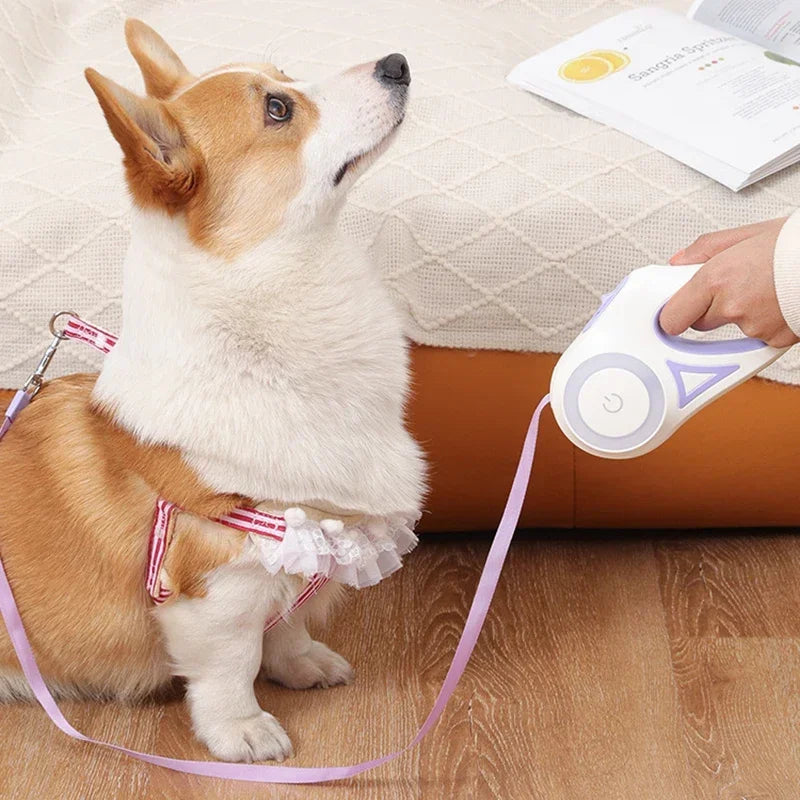 LED Luminous Dog Leash Automatic Retractable Leash for Medium Dogs Outdoor Small Pet Traction Rope