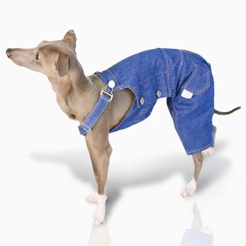 Pet Clothing Adjustable Blue Thin Denim Carrier Pants for Mid Dogs 4-legged Spring White Coat for Italy Greyhound Wellingtonian