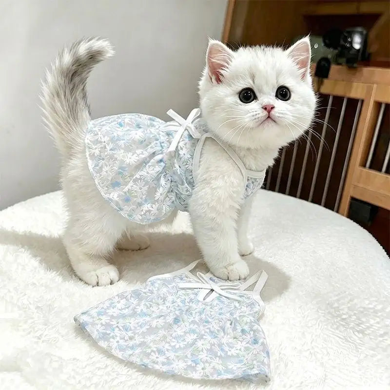 New Pet Dresses Princess Style Dog Cat Clothes Bichon Summer Breathable Clothing Yorkshire Beautiful Skirt Luxury Pet Clothes