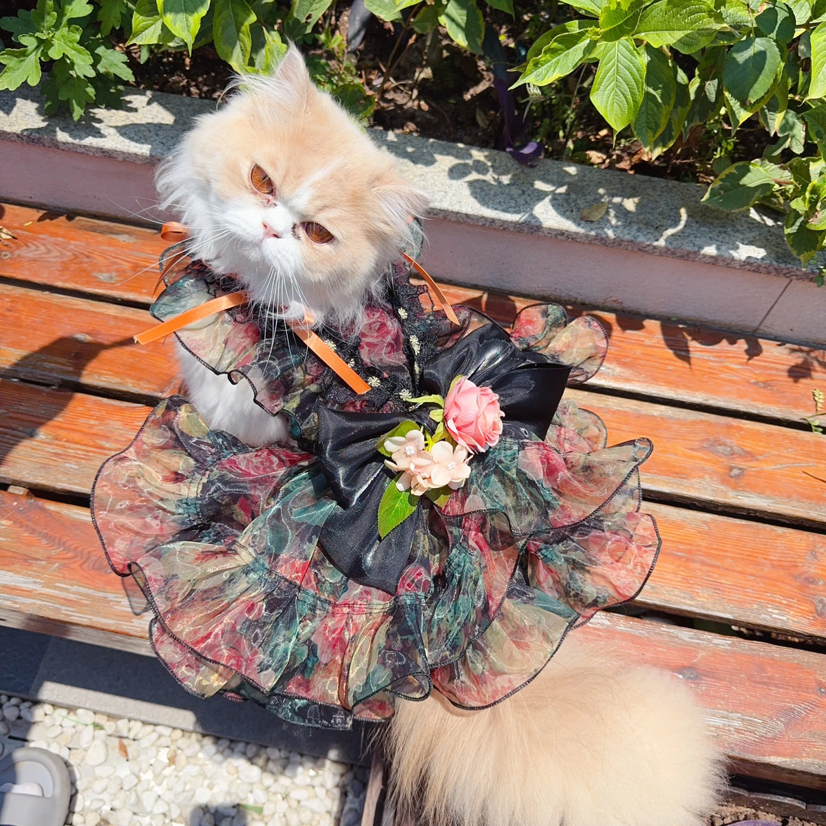 Luxury Black Orange Pet Dog Clothes Fine Handmade Roseflower Bow Party Princess Dress for Small Medium Dogs Puppy Overalls Coat