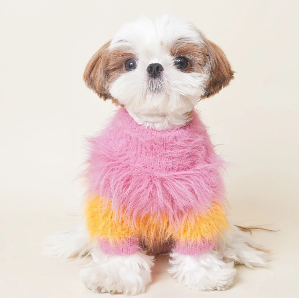 Cute French Fries Printed Soft Cotton Pet Sweater High Quality Design Dog Jacket Small Animal Clothing for Cats