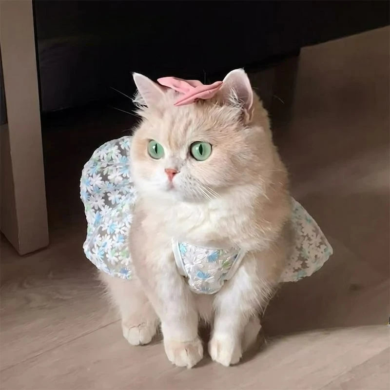 New Pet Dresses Princess Style Dog Cat Clothes Bichon Summer Breathable Clothing Yorkshire Beautiful Skirt Luxury Pet Clothes