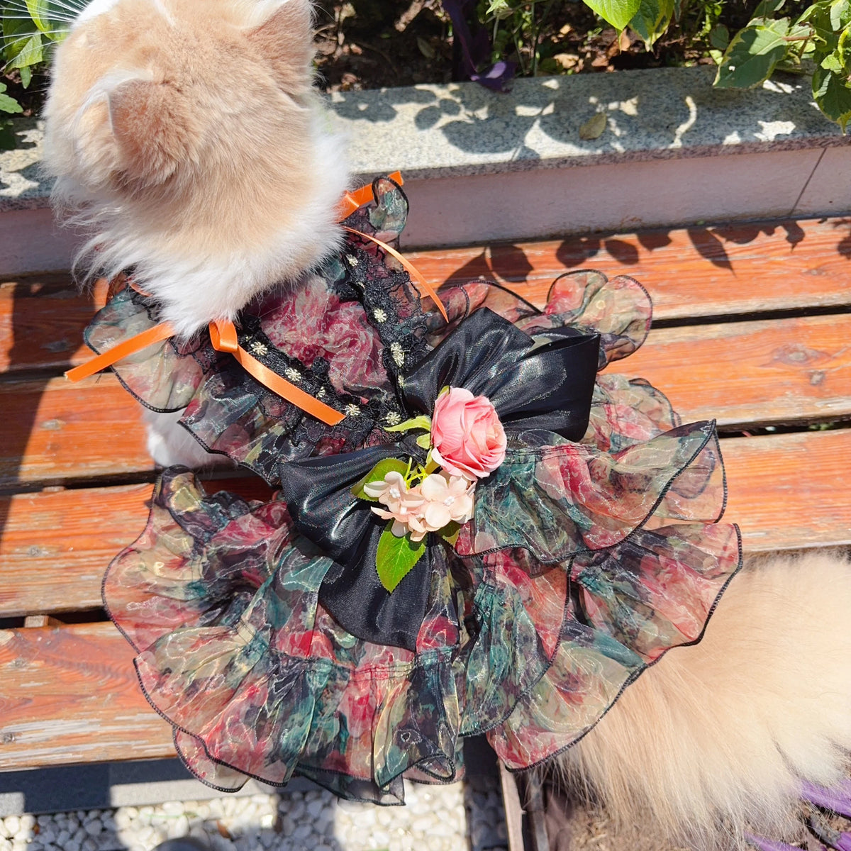 Luxury Black Orange Pet Dog Clothes Fine Handmade Roseflower Bow Party Princess Dress for Small Medium Dogs Puppy Overalls Coat