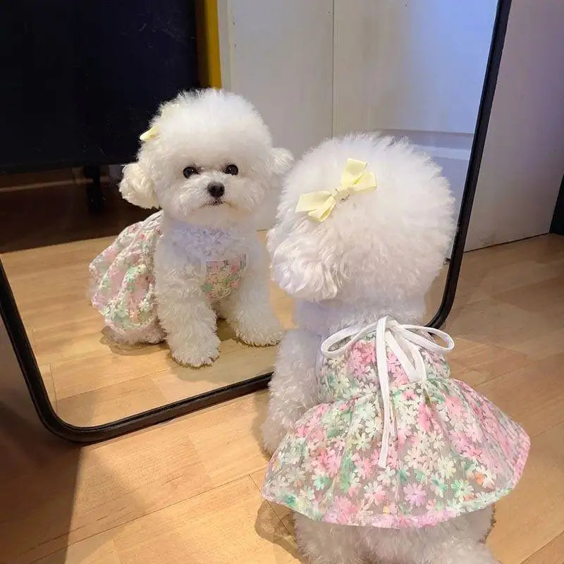 New Pet Dresses Princess Style Dog Cat Clothes Bichon Summer Breathable Clothing Yorkshire Beautiful Skirt Luxury Pet Clothes